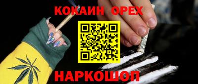 крисы Будённовск
