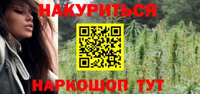 крисы Будённовск