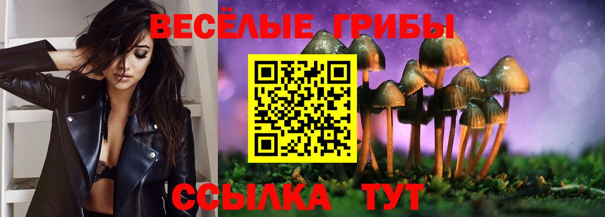 Тобольск  Галлюциногенные грибы MAGIC MUSHROOMS  Вход с VPN 