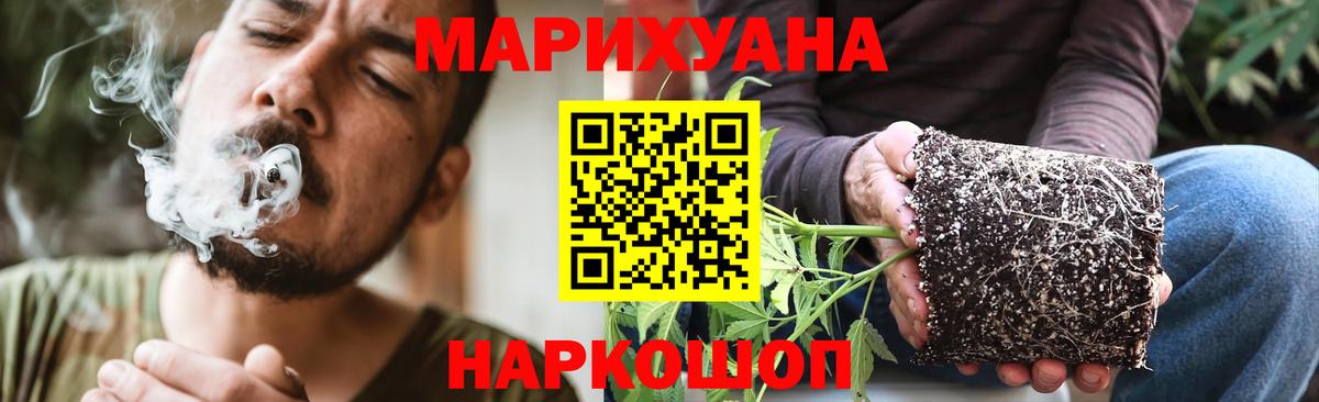 Конопля семена  Вход с VPN  Тобольск  Каннабис Amnesia  Каннабис гибрид 